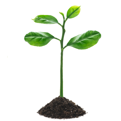 psicoterapia-madrid-planta-tres