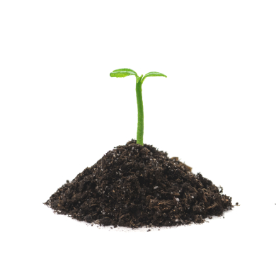 psicoterapia-madrid-planta-uno